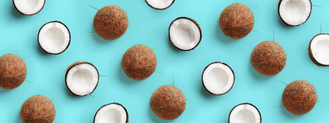 Coconut banner